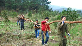 ��(w��n)����ˎ���г�һֱ���Є�(d��ng)