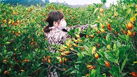 �����г���ˎԭ�����޹�˾ ��(y��n)����ѭ����ˎ���x��ԭ�t